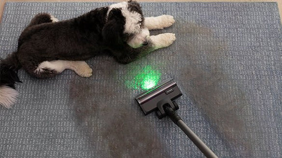 L'élément manquant du nettoyage domestique